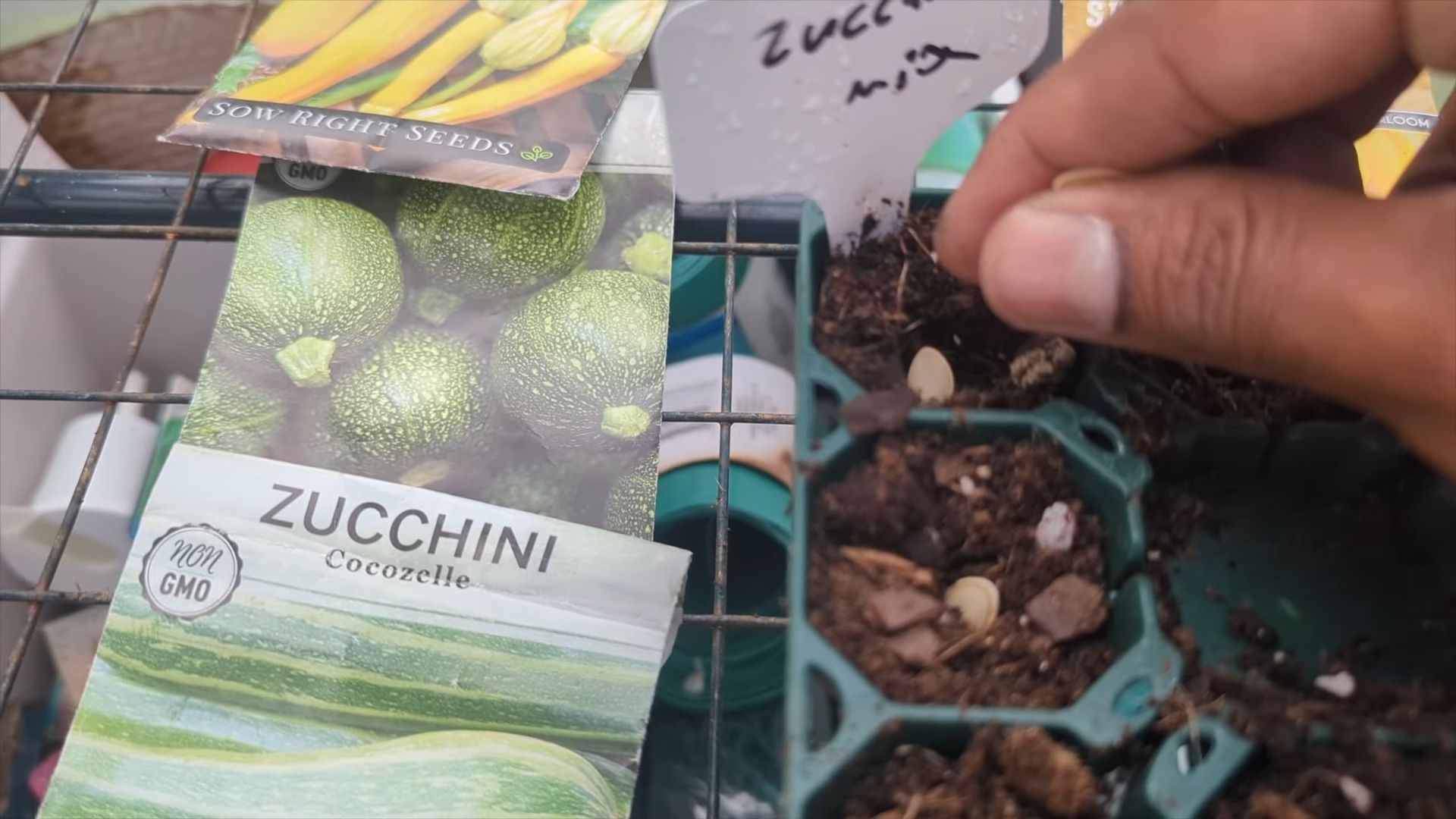 Zucchini Anbau Balkon