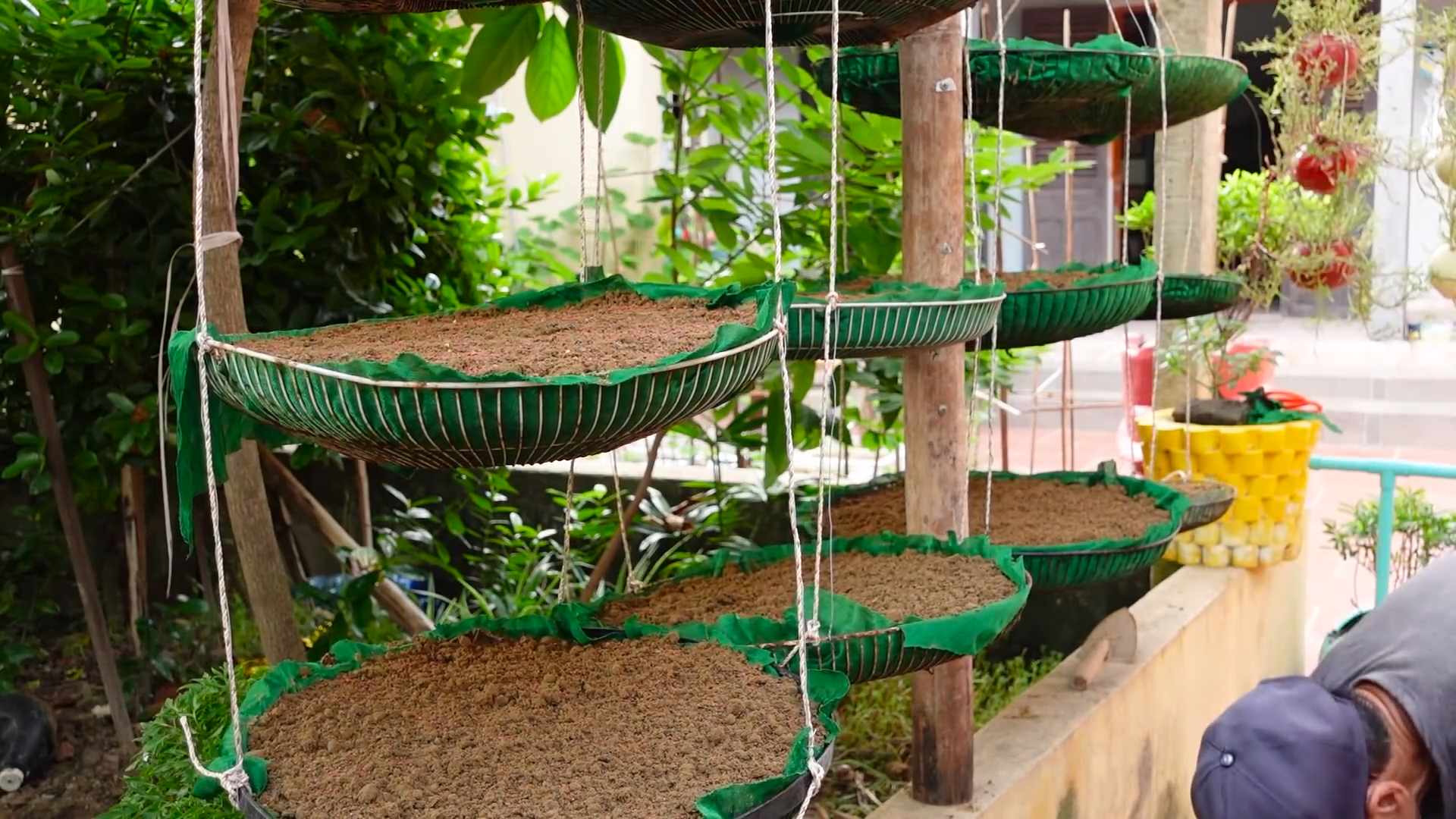 Ventilatorgitter für Grünkohl nutzen